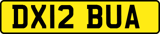 DX12BUA