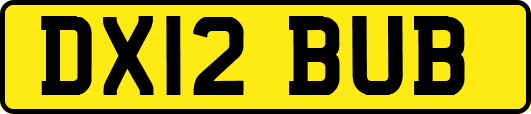 DX12BUB