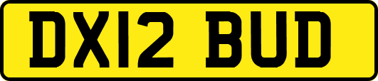 DX12BUD
