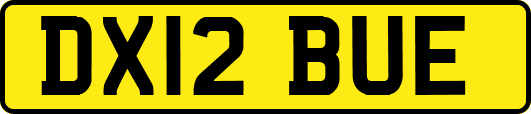 DX12BUE