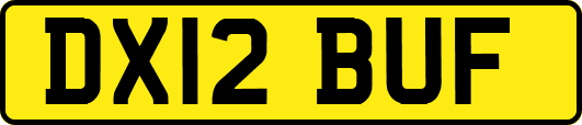 DX12BUF