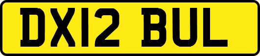 DX12BUL