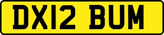 DX12BUM