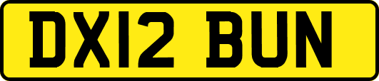 DX12BUN