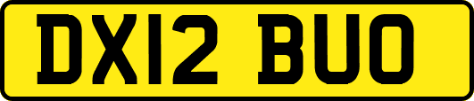 DX12BUO