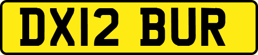 DX12BUR