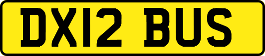 DX12BUS