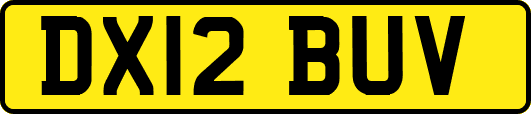 DX12BUV