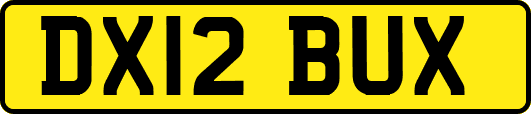 DX12BUX