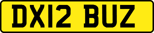 DX12BUZ
