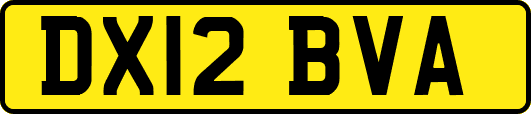 DX12BVA
