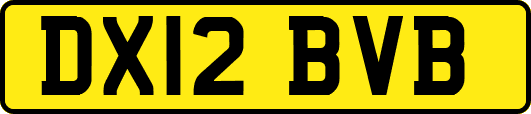 DX12BVB