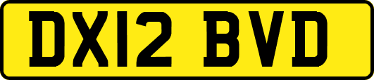 DX12BVD