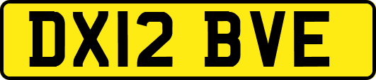 DX12BVE