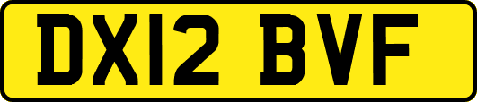 DX12BVF
