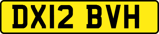 DX12BVH