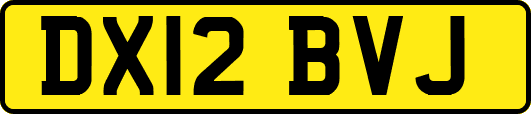 DX12BVJ