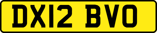 DX12BVO