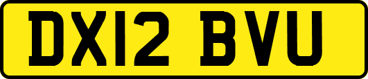 DX12BVU