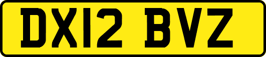 DX12BVZ
