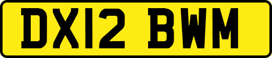 DX12BWM