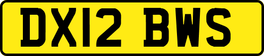 DX12BWS