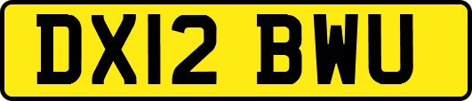 DX12BWU