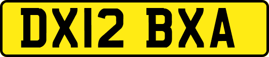 DX12BXA