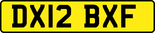 DX12BXF