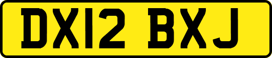 DX12BXJ