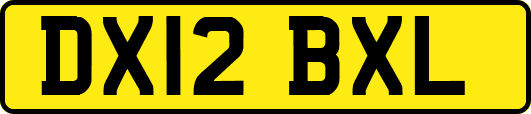 DX12BXL