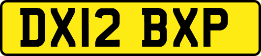 DX12BXP