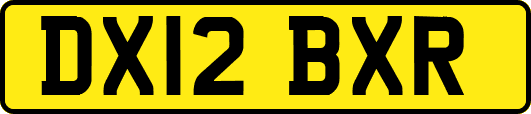 DX12BXR