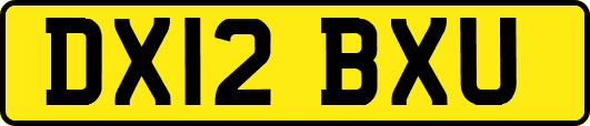 DX12BXU