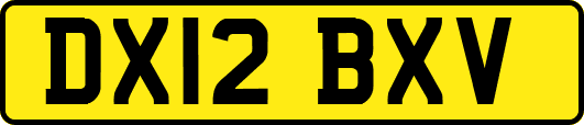 DX12BXV