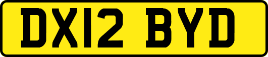 DX12BYD