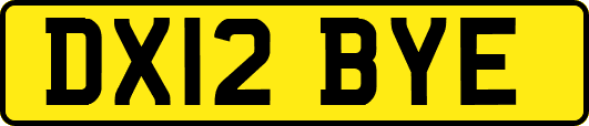 DX12BYE
