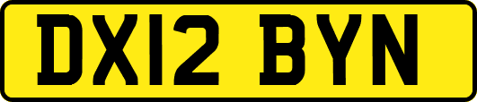 DX12BYN