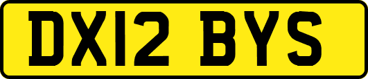 DX12BYS