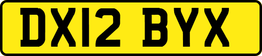 DX12BYX