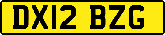 DX12BZG