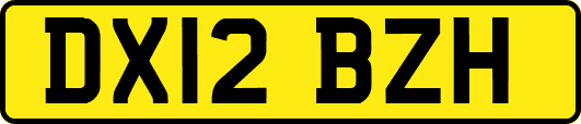 DX12BZH