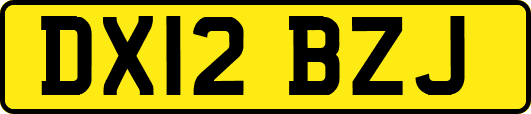 DX12BZJ