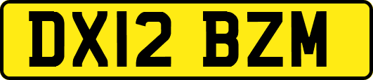 DX12BZM