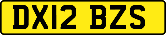 DX12BZS