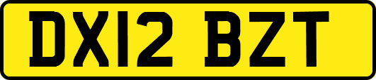 DX12BZT