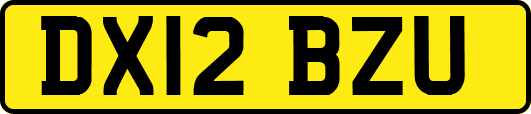 DX12BZU
