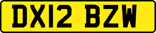 DX12BZW