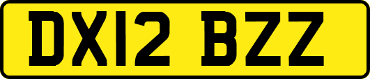 DX12BZZ