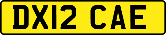 DX12CAE